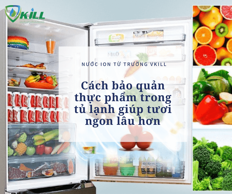 Bảo quản thực phẩm trong tủ lạnh như thế nào để thực phẩm luôn tươi ngon ?
